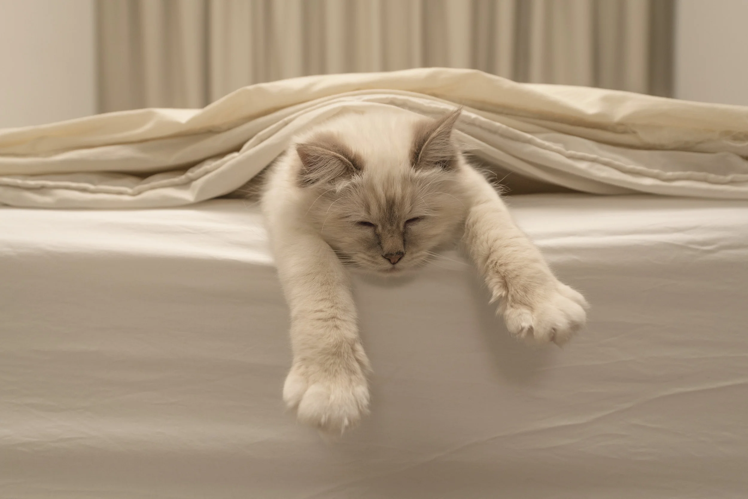 © iStock