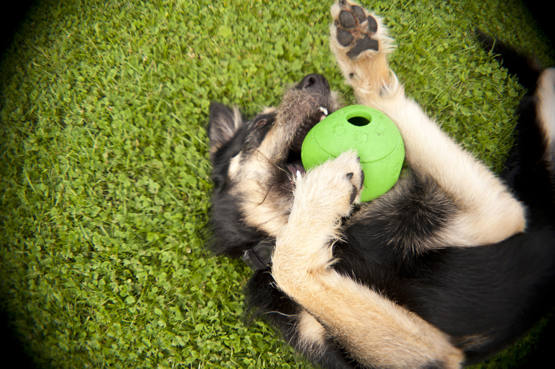 © iStock Ein Ball mit nur einer Öffnung kann lebensgefährlich werden.
