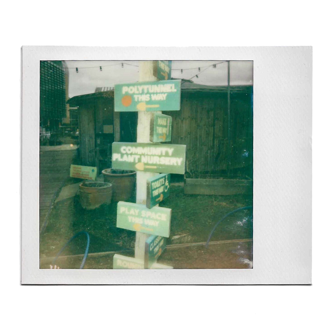 POLAROID1.png