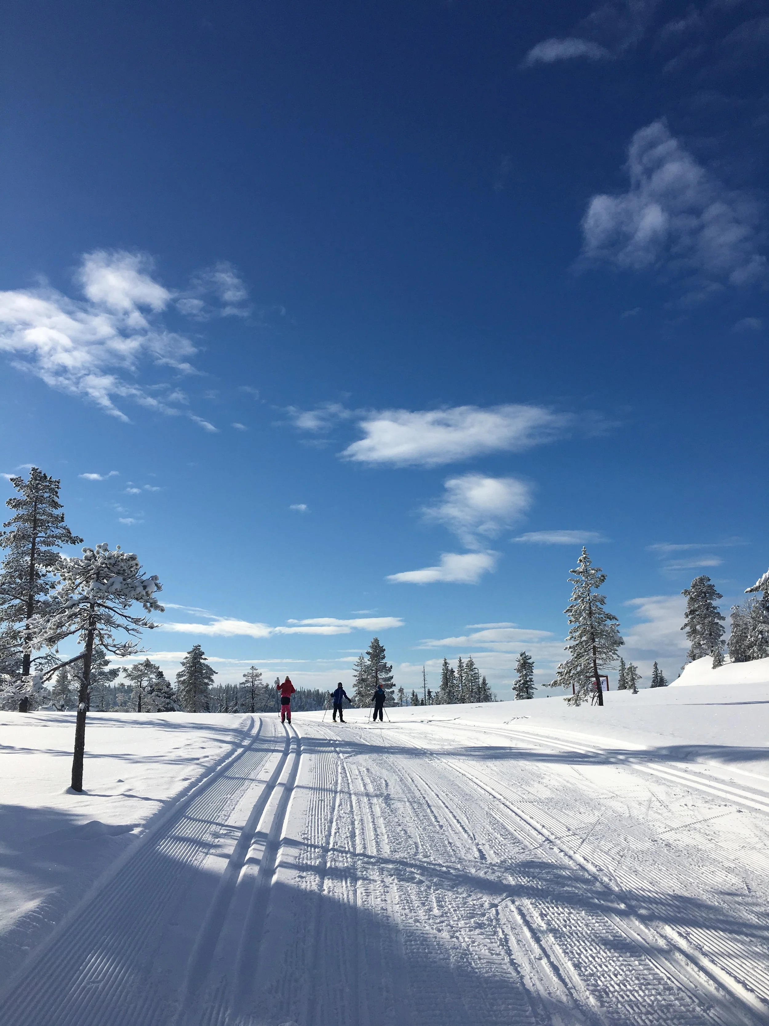 Hit drar du på skiferie med familien!