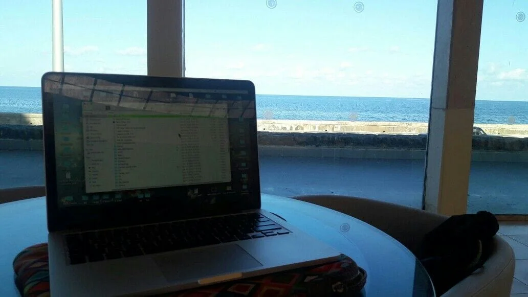 This view!