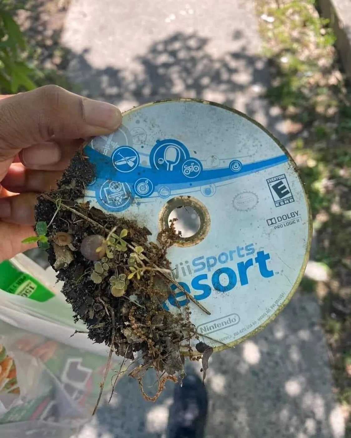 New aesthetic just dropped 🌿💿