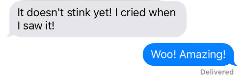 Julie Van Text.png