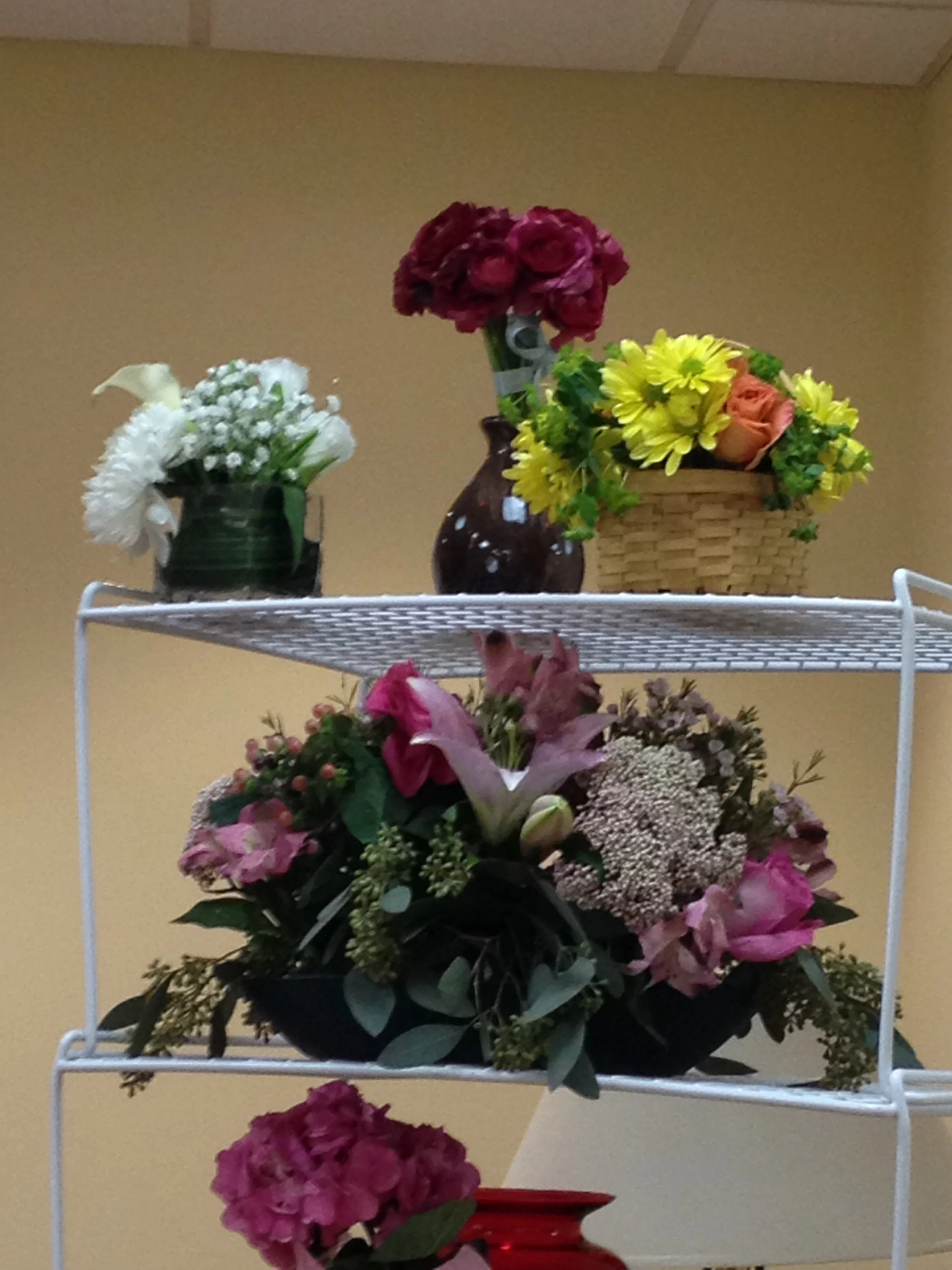2014-02-01 14.59.33.jpg
