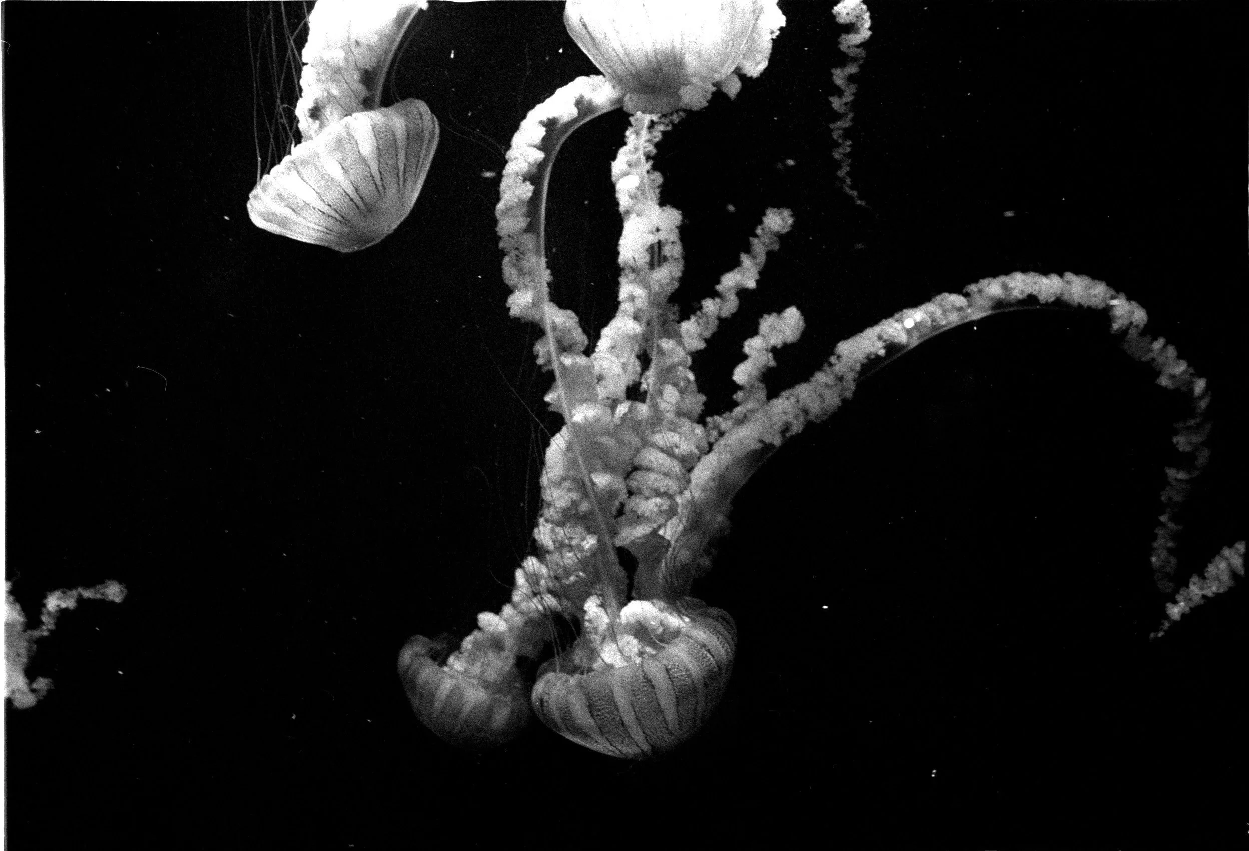 New Orleans | Feb 2024