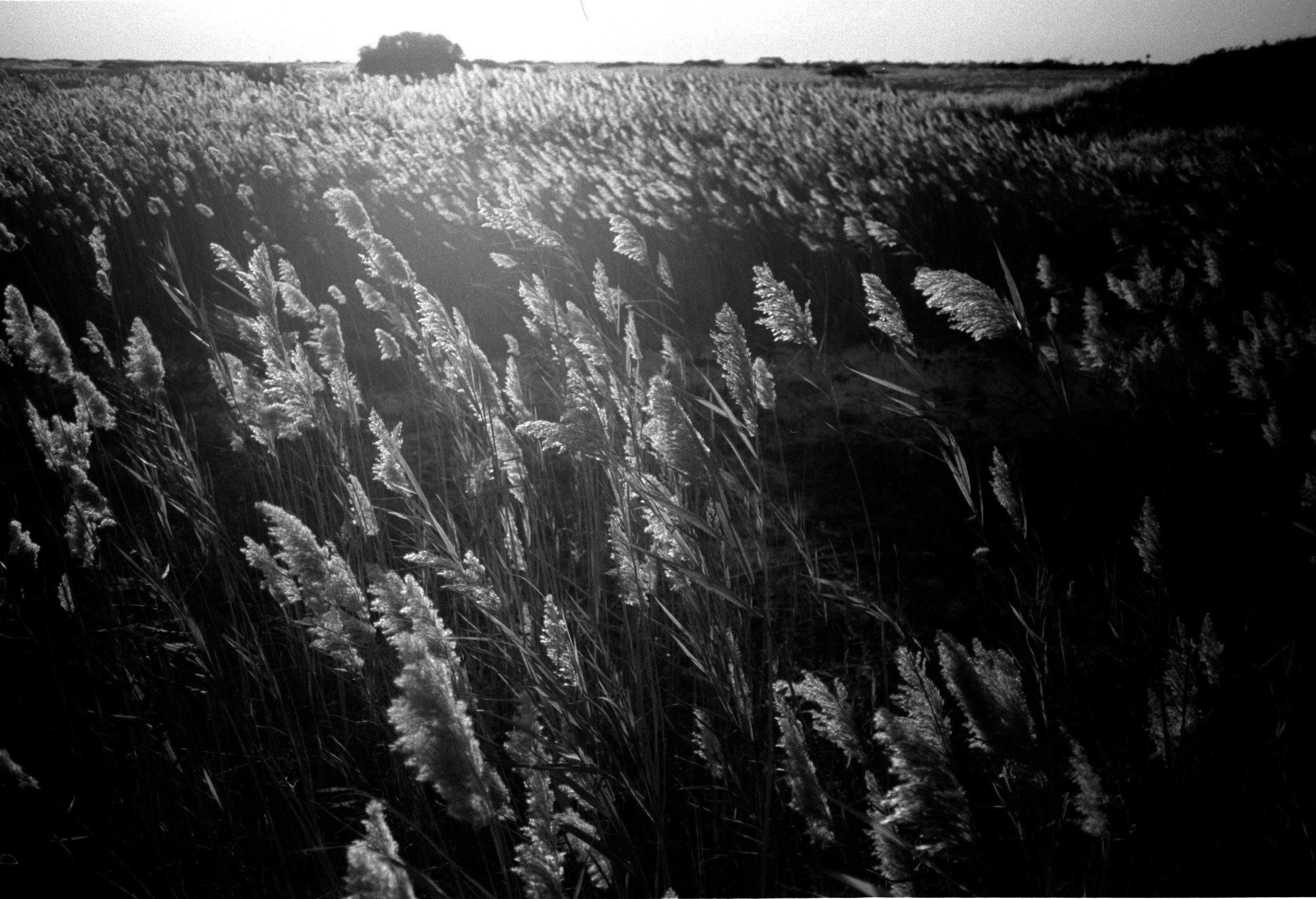 Jones Beach, NY | Oct 2024