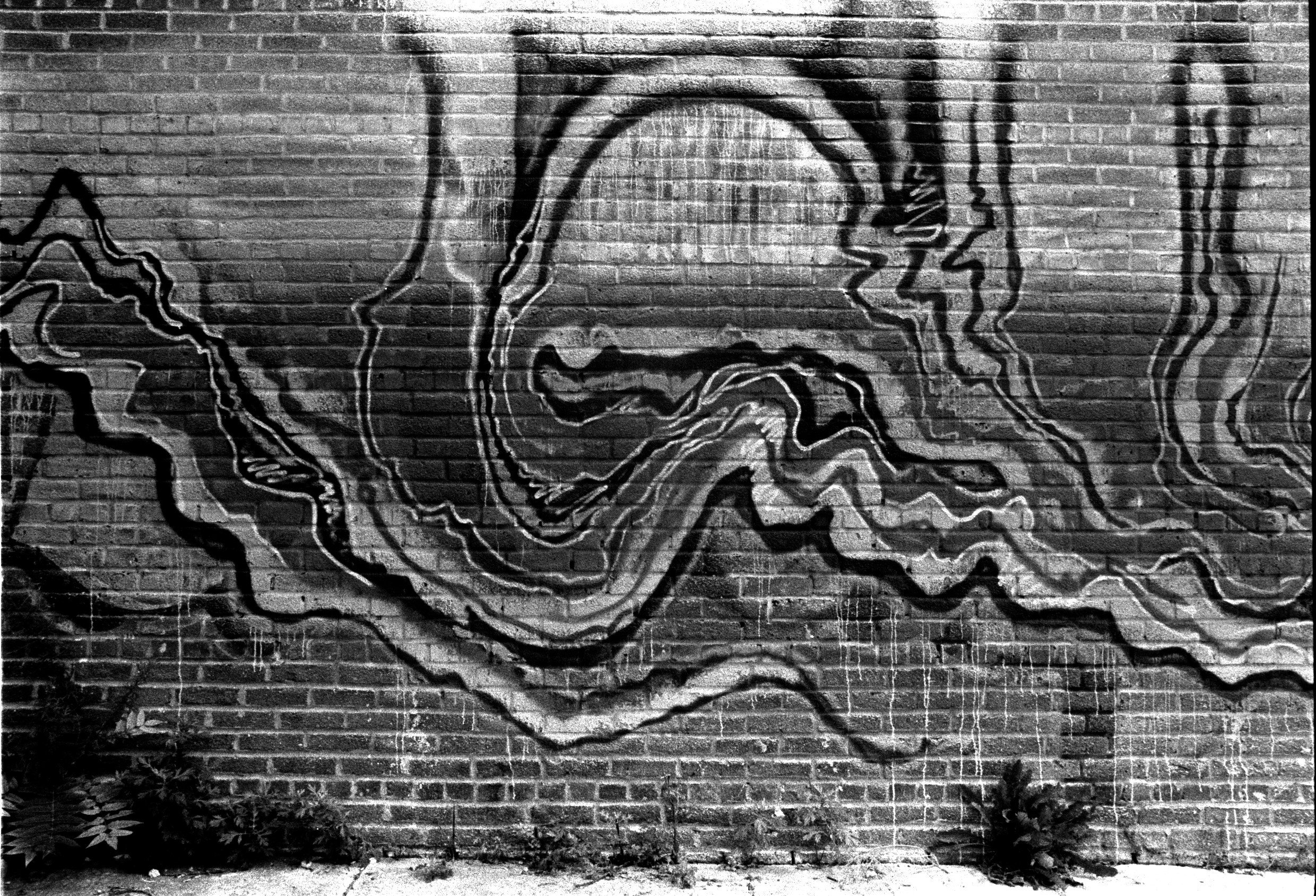 Brooklyn | Sept 2024