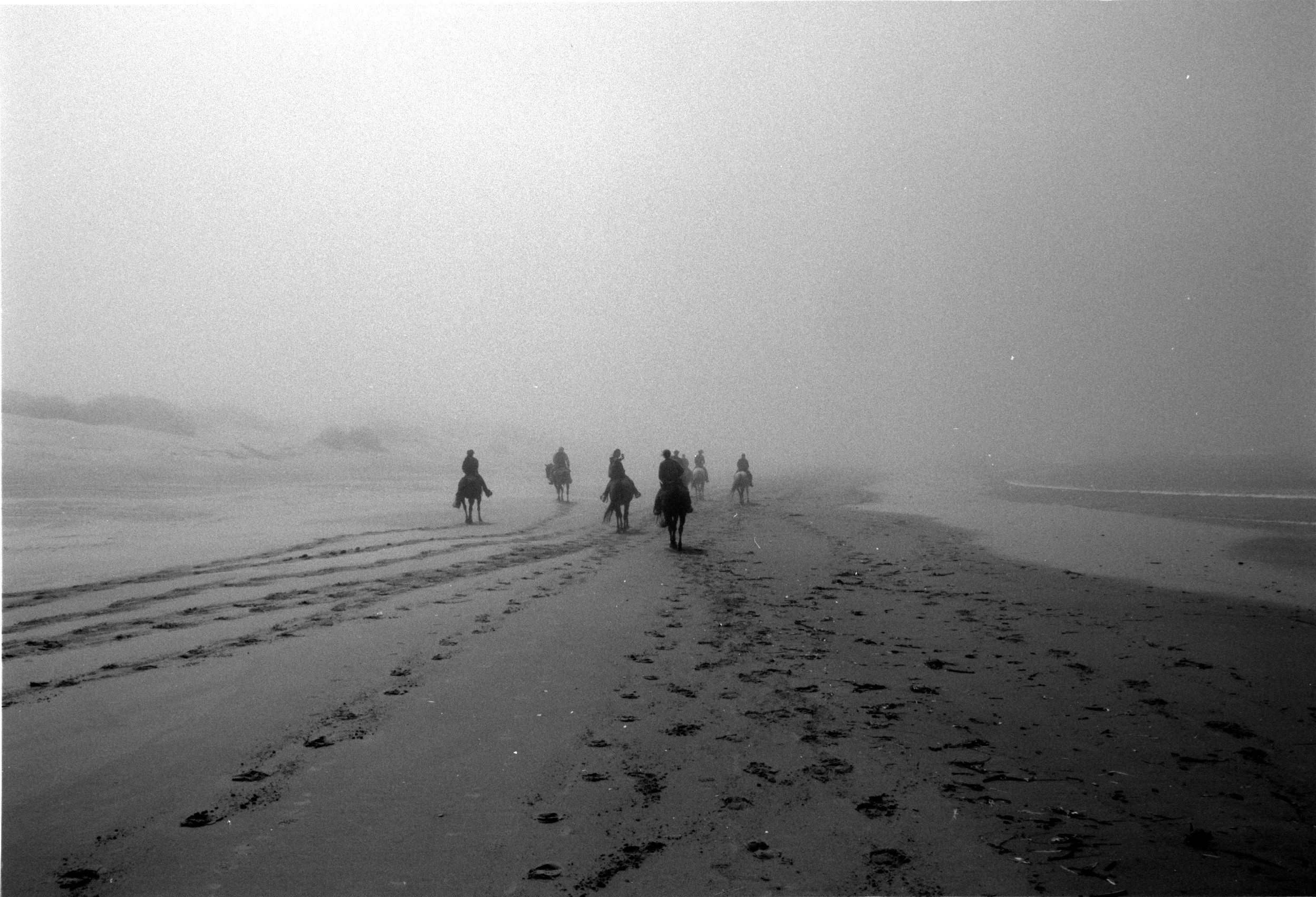 Oregon Coast | July 2024