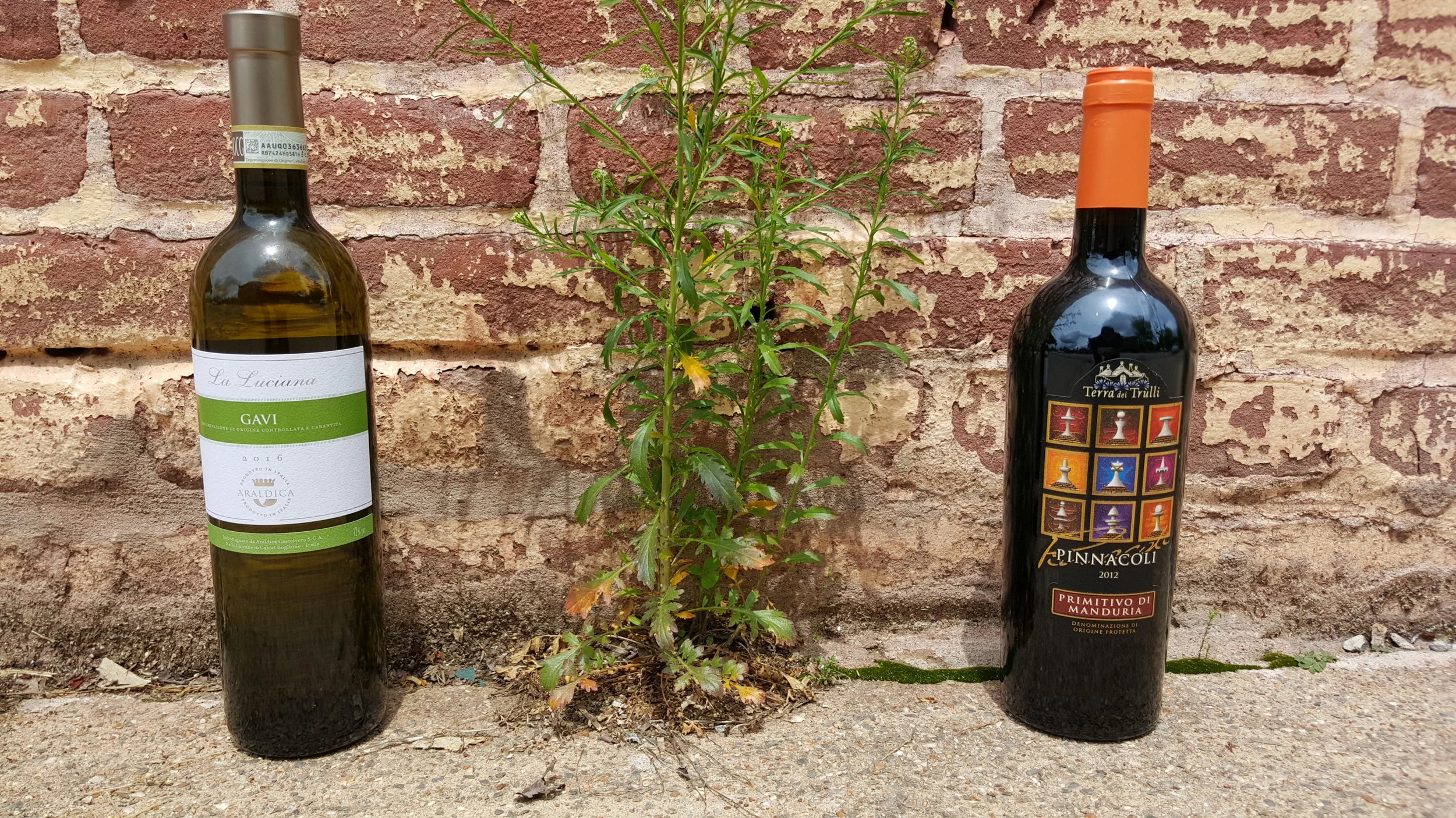 Even our wines are participating in #justawall!