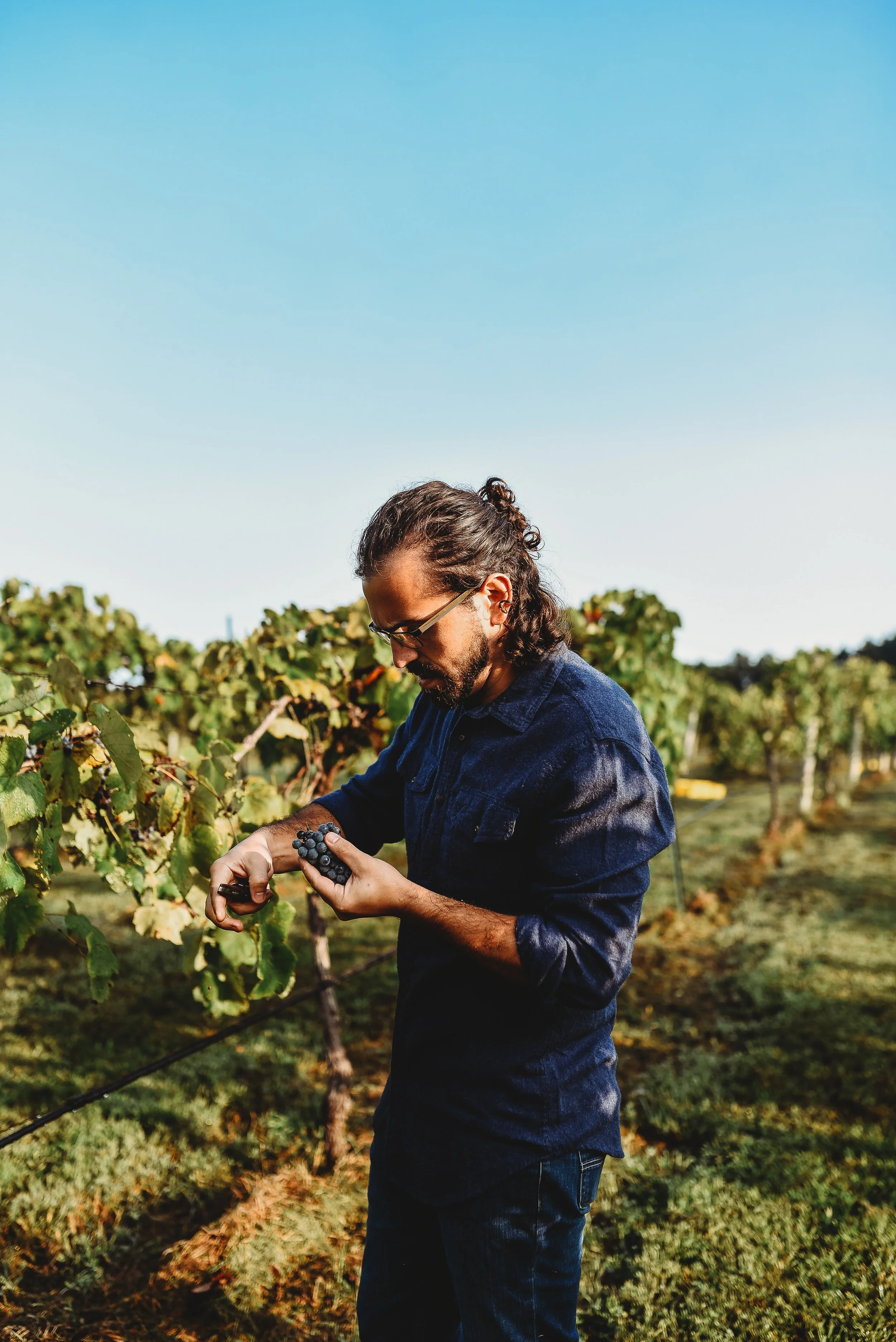 Eric Sampling Berries.jpg