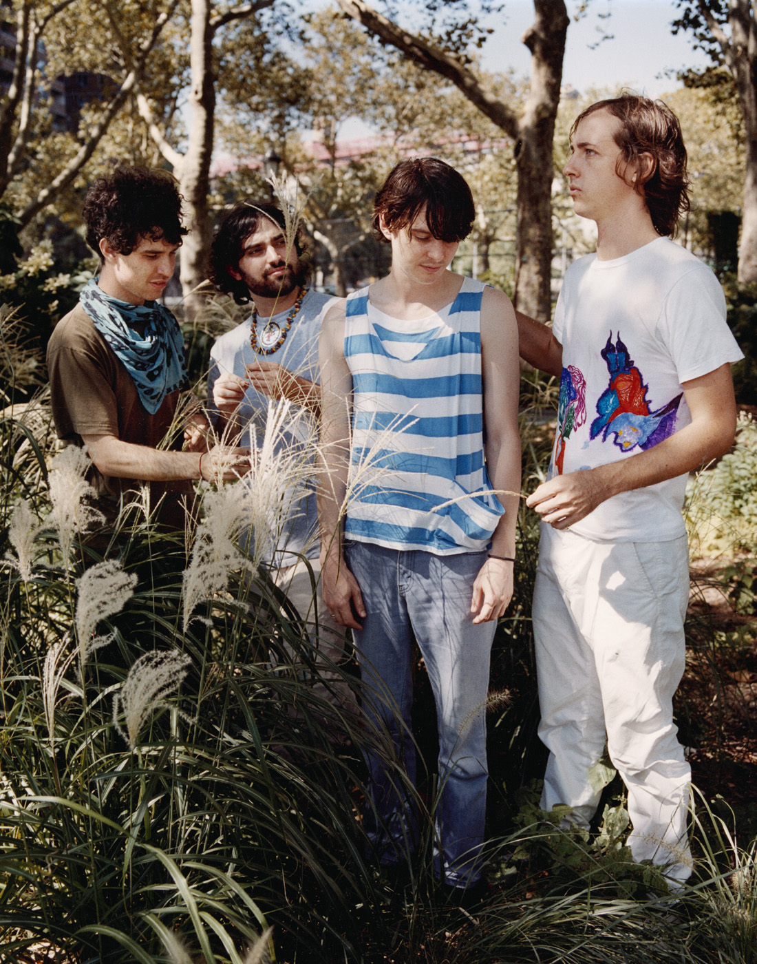  ANIMAL COLLECTIVE   | 