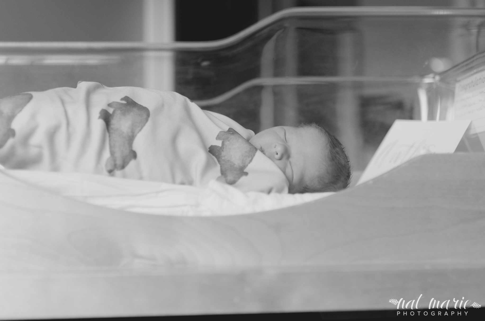 Fresh 48 - newborn photography - gilbert, scottsdale, tempe, mesa, chandler