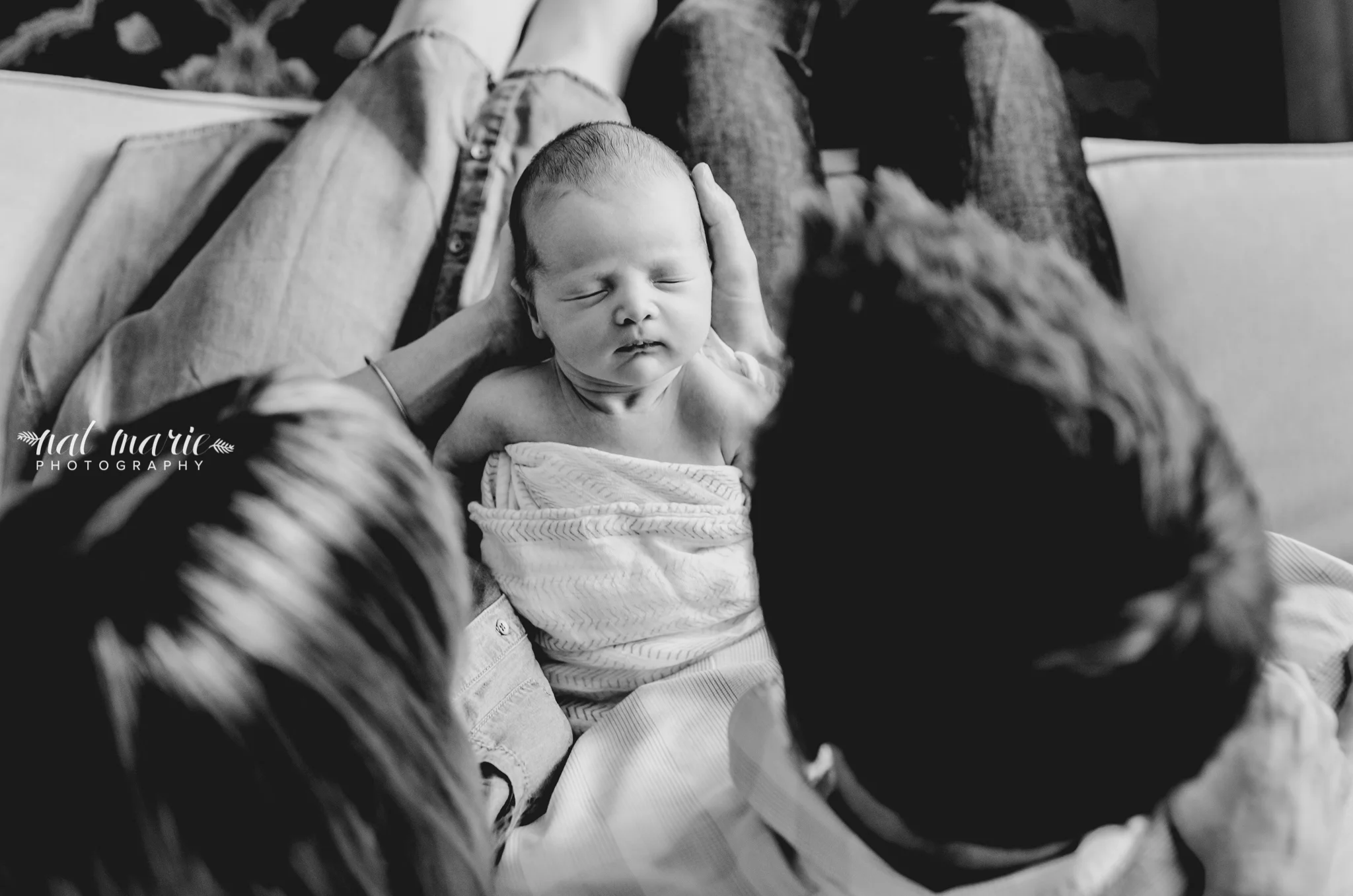 Nat Marie Photography - newborn photography - gilbert - scottsdale - maternity