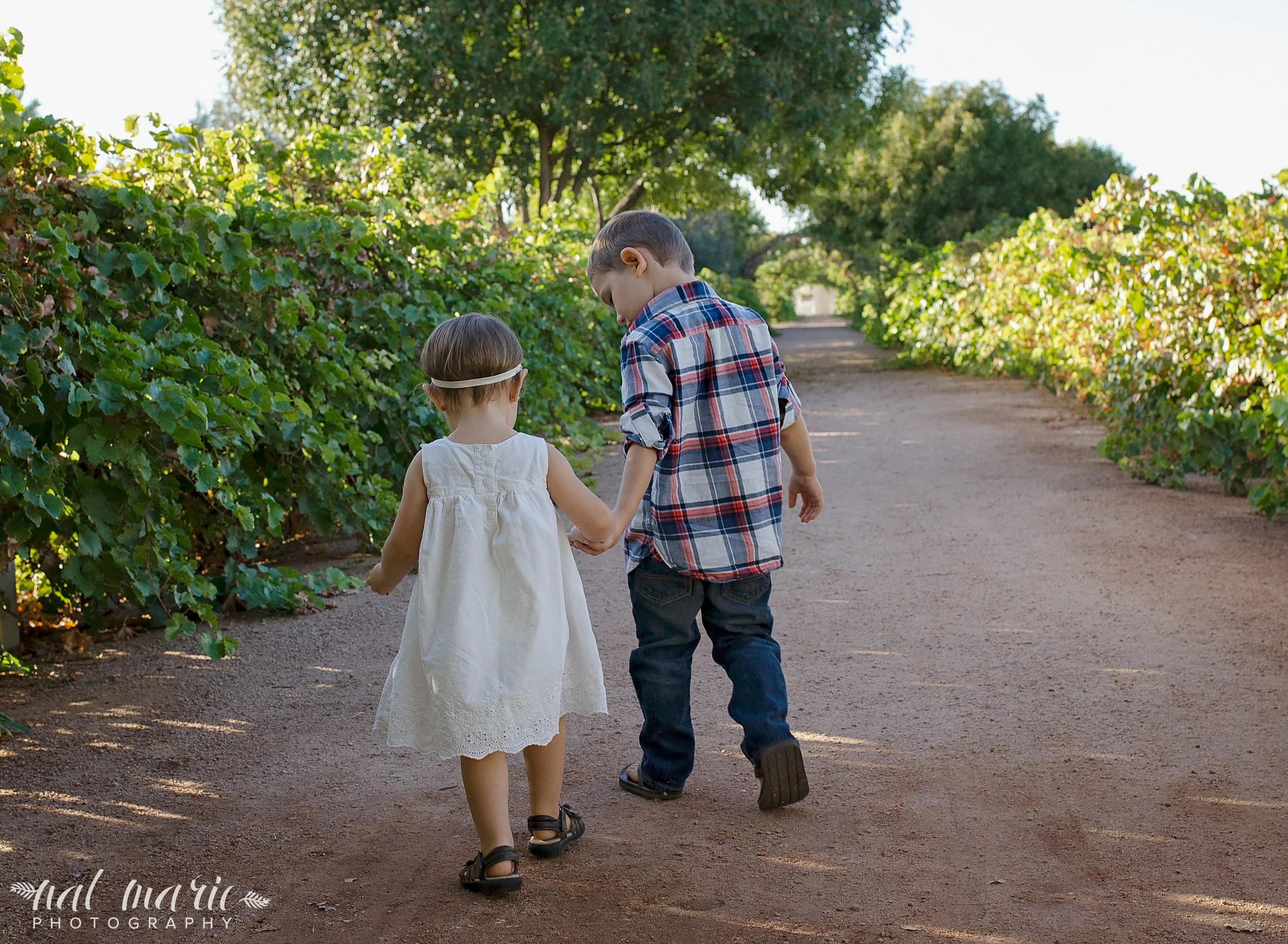 Gilbert Family Photographer - Tempe, Scottsdale, Mesa, Chandler