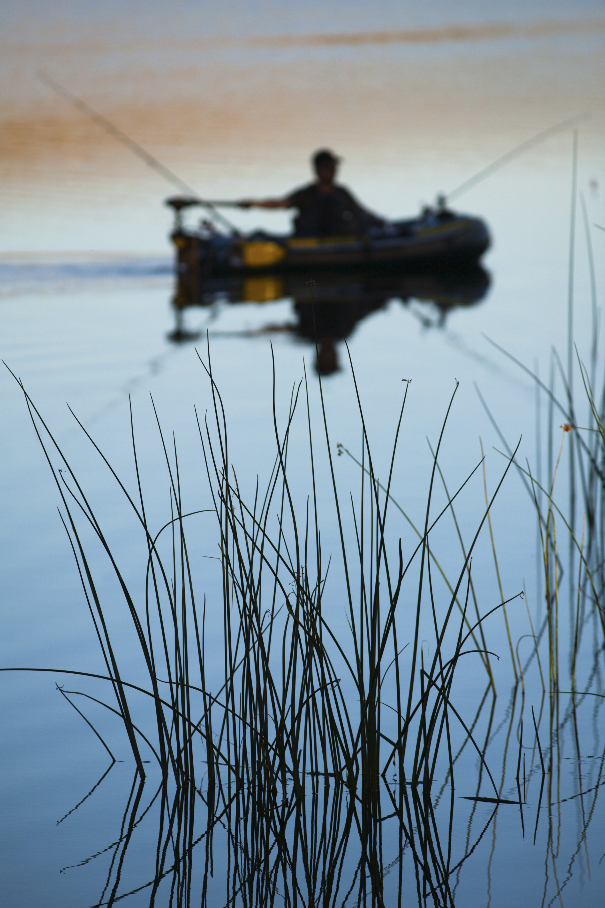 Water grass and fisherman