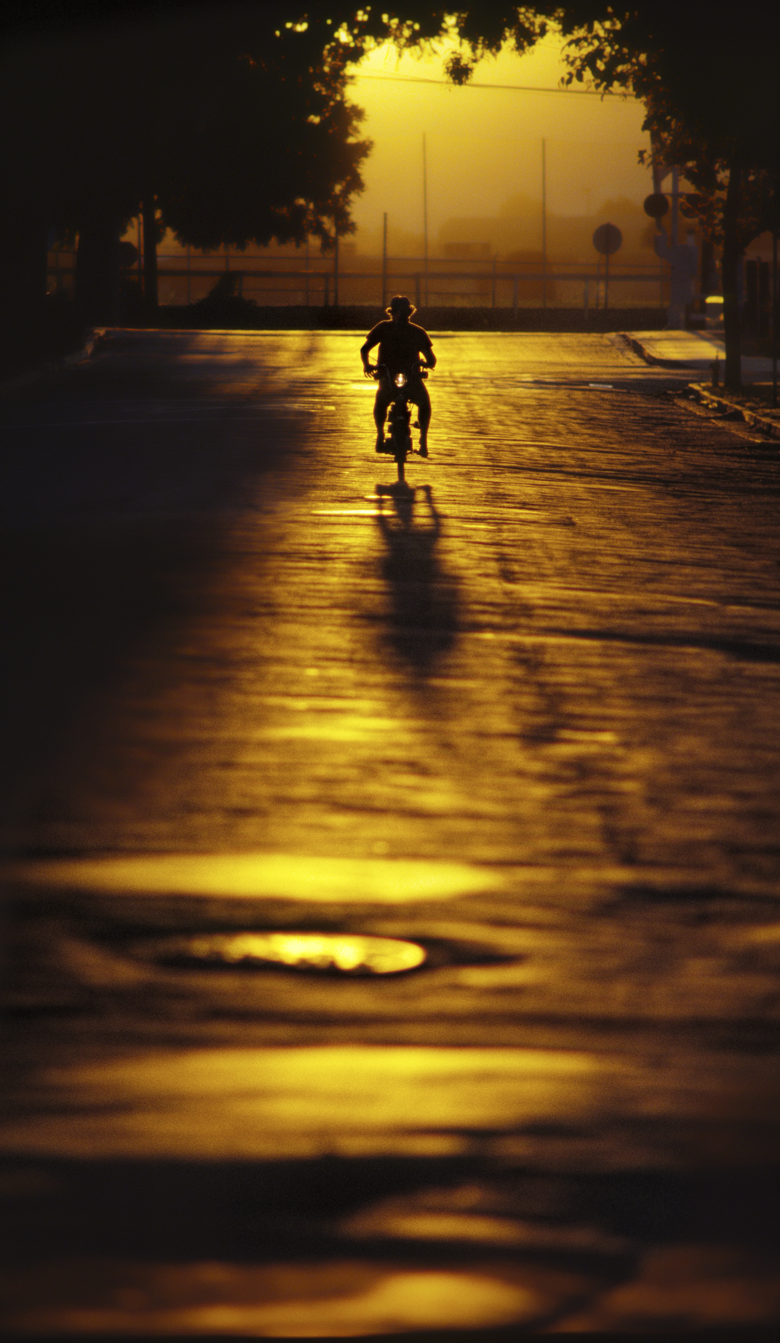 Sunset moped