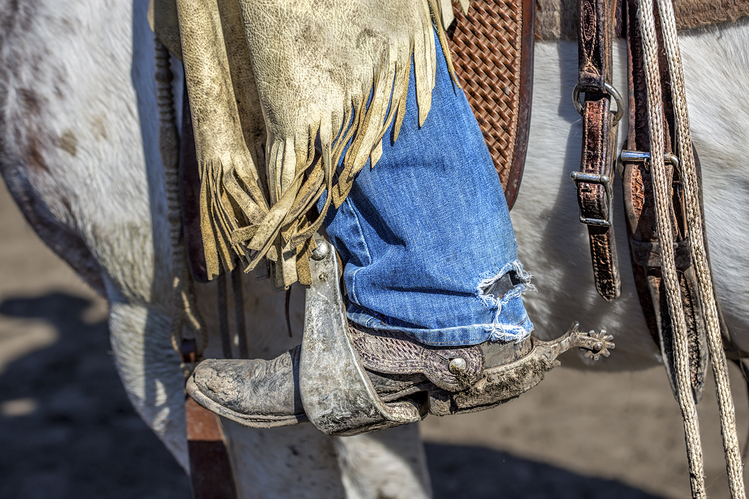 Chaps & Boot