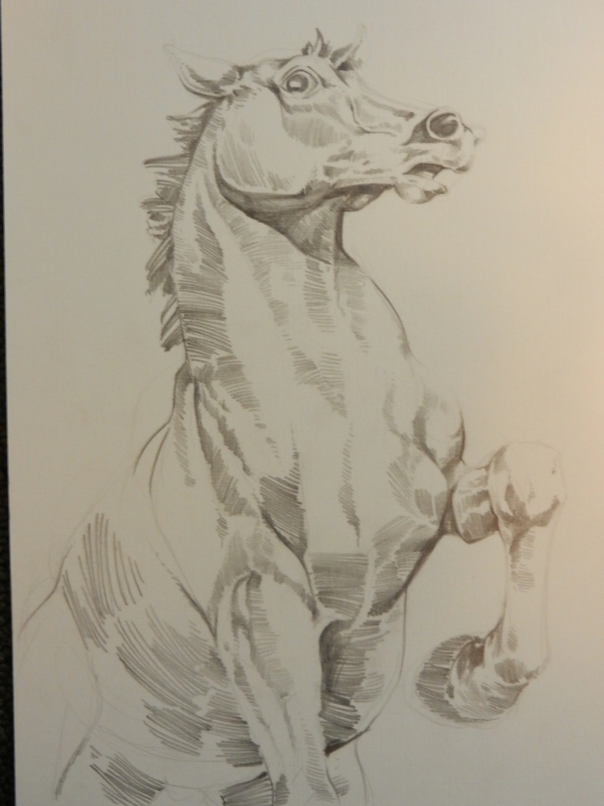 Study of a horse sculpture