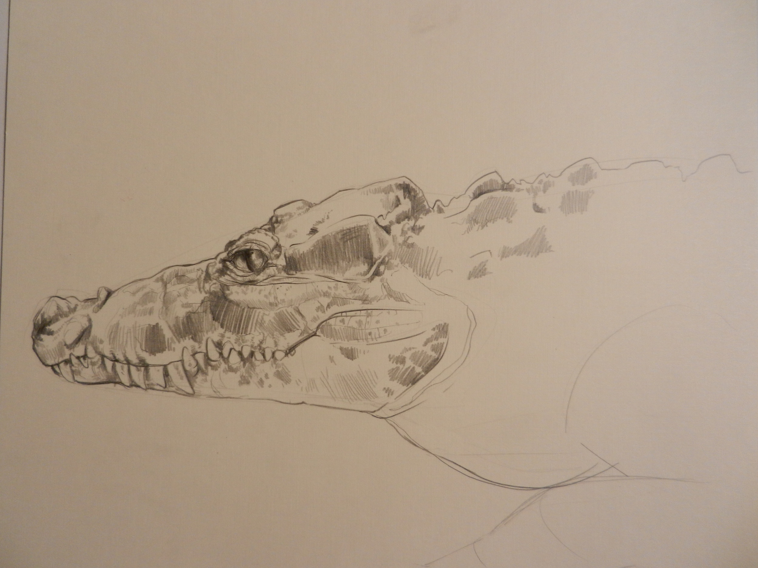 Zoo study