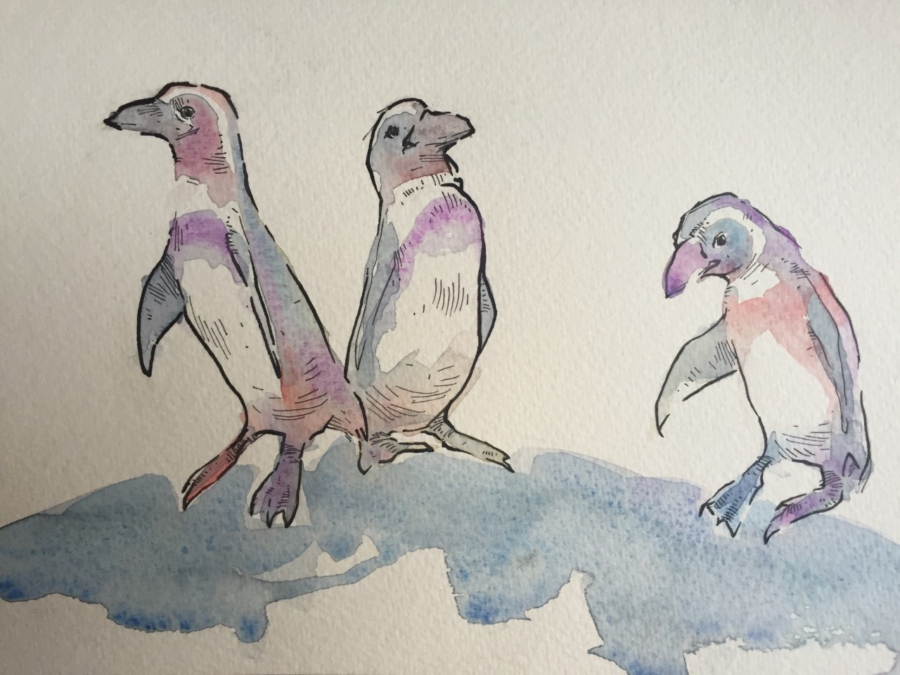 Funky Penguins
