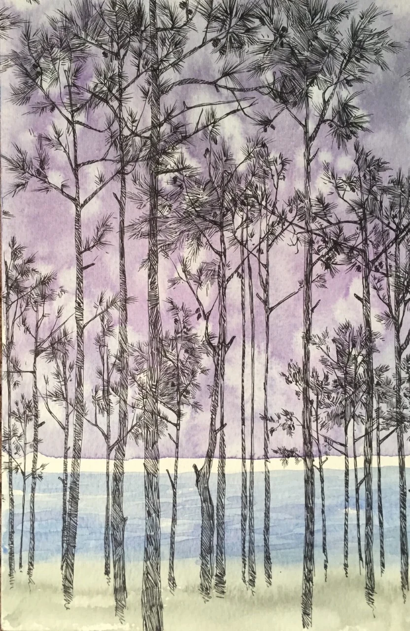 Tall Pines Camping