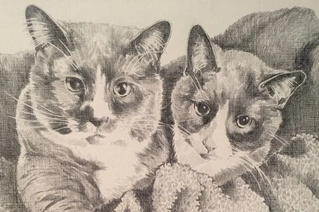 Two Cats