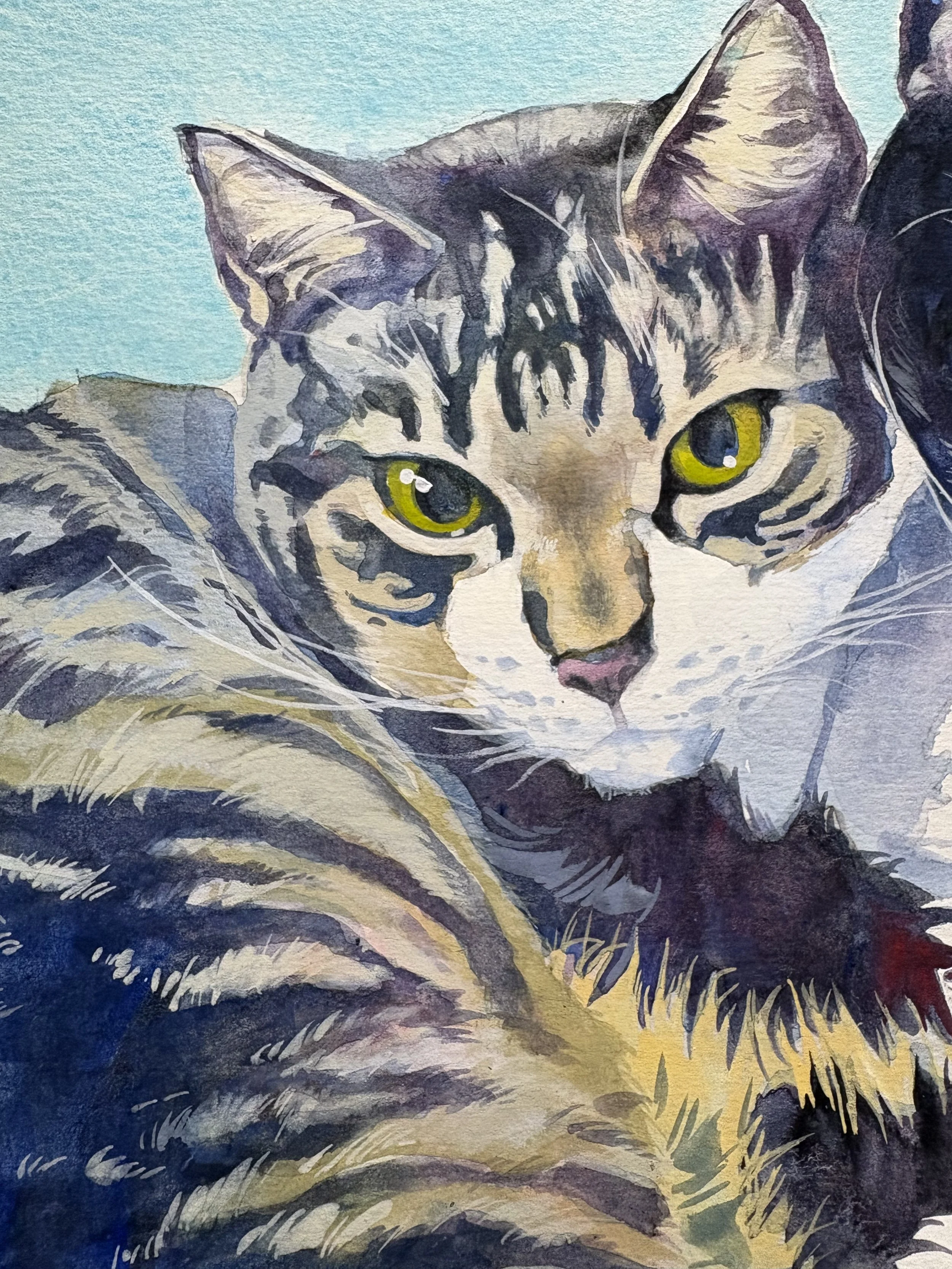 Cat Portrait 