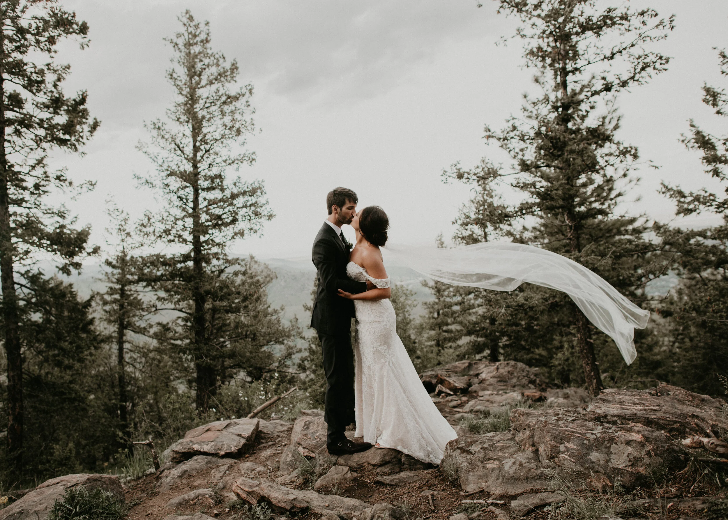 Megan + Daniel 