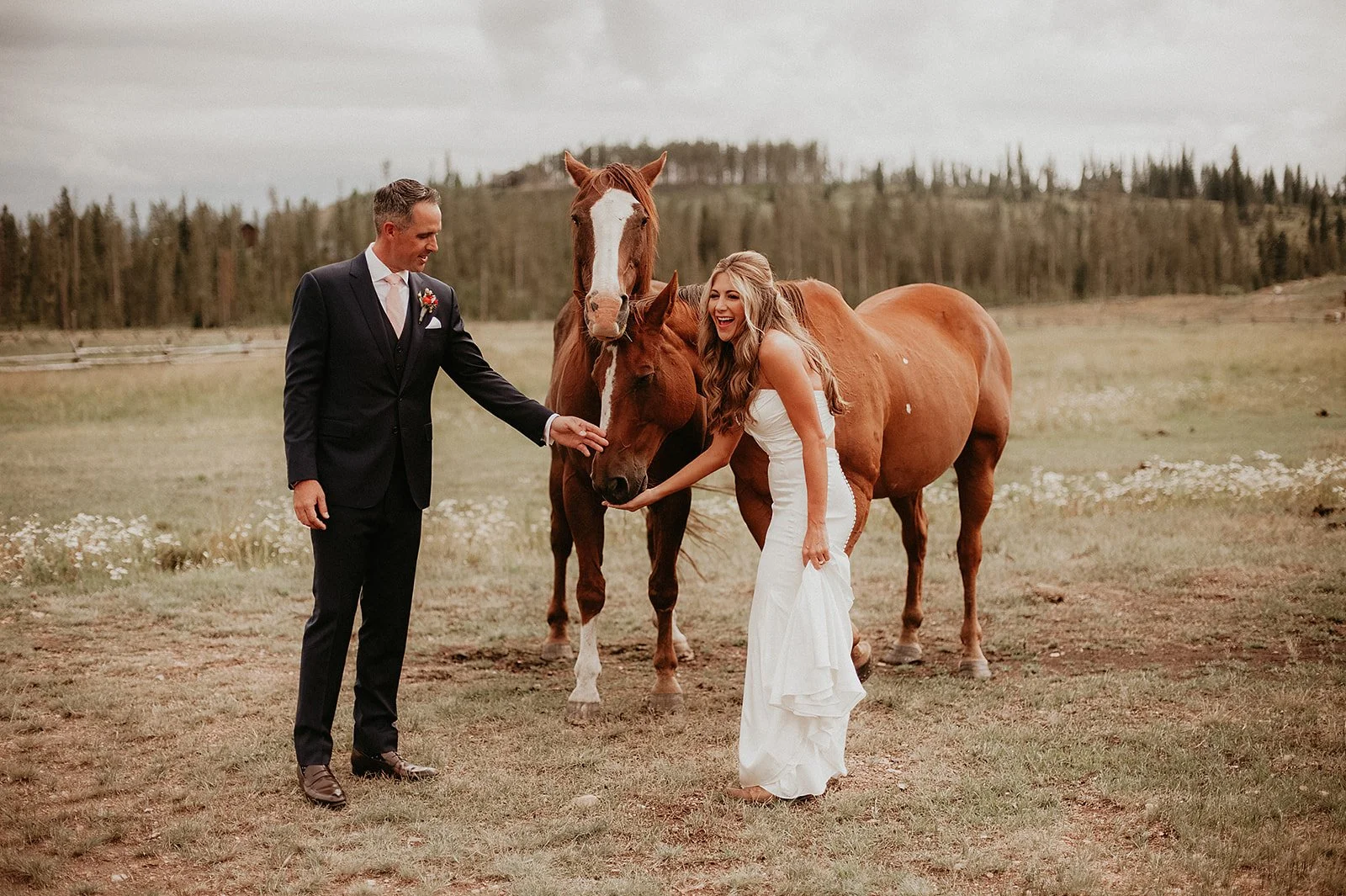 Newlyweds pose in meadow with horses