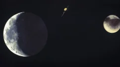 t.jpg