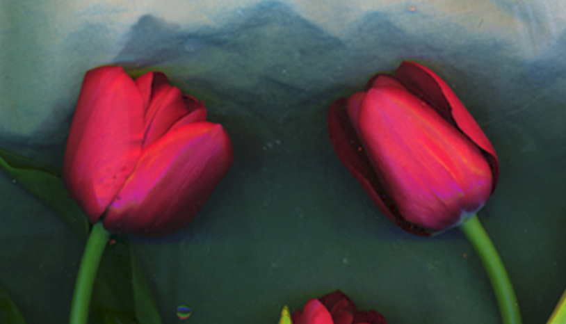 Screen Shot 2015-12-11 at 1.10.55 PM.png