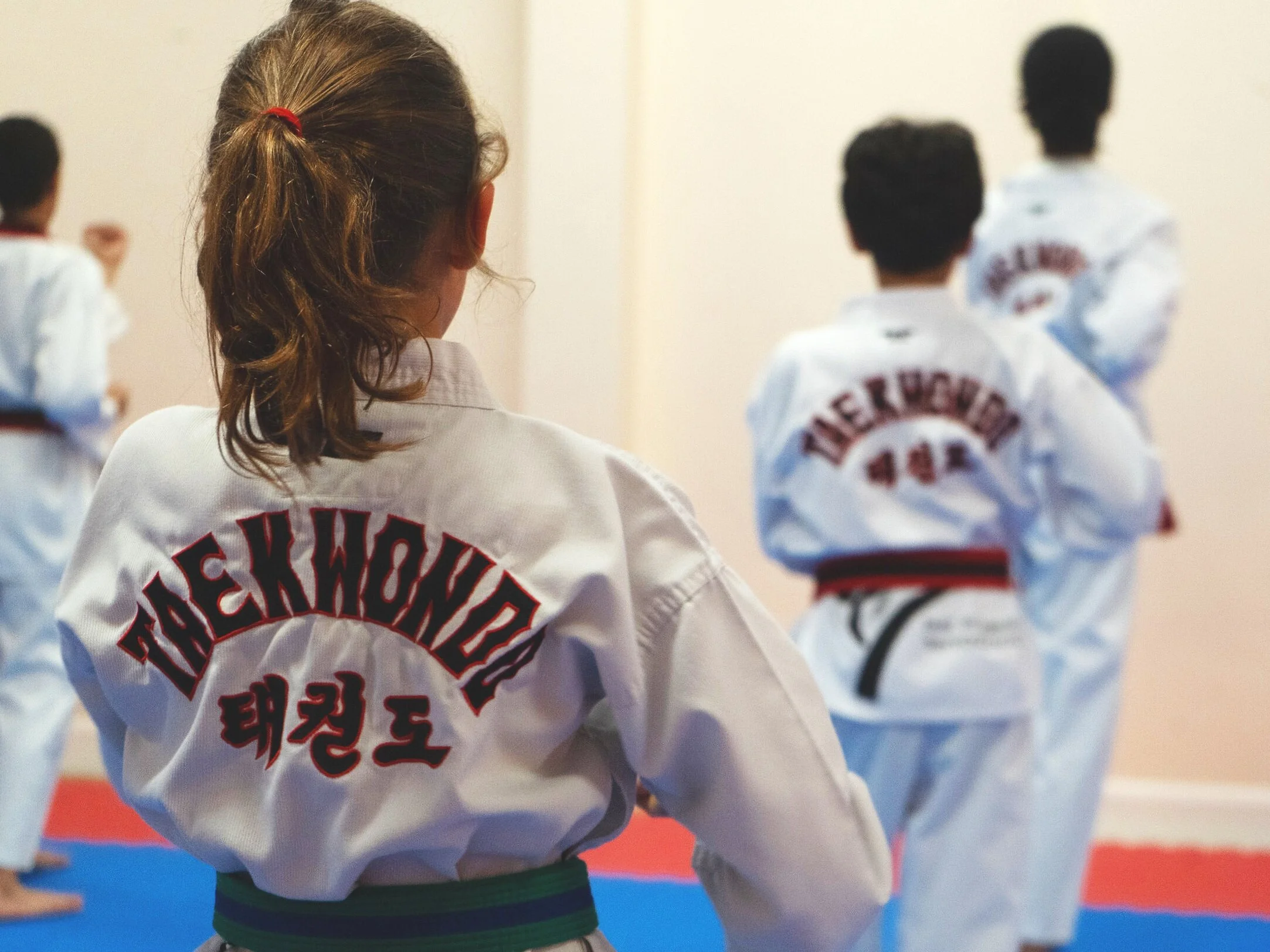 The Five Tenets Of Taekwondo — Peak performance Taekwondo Academy