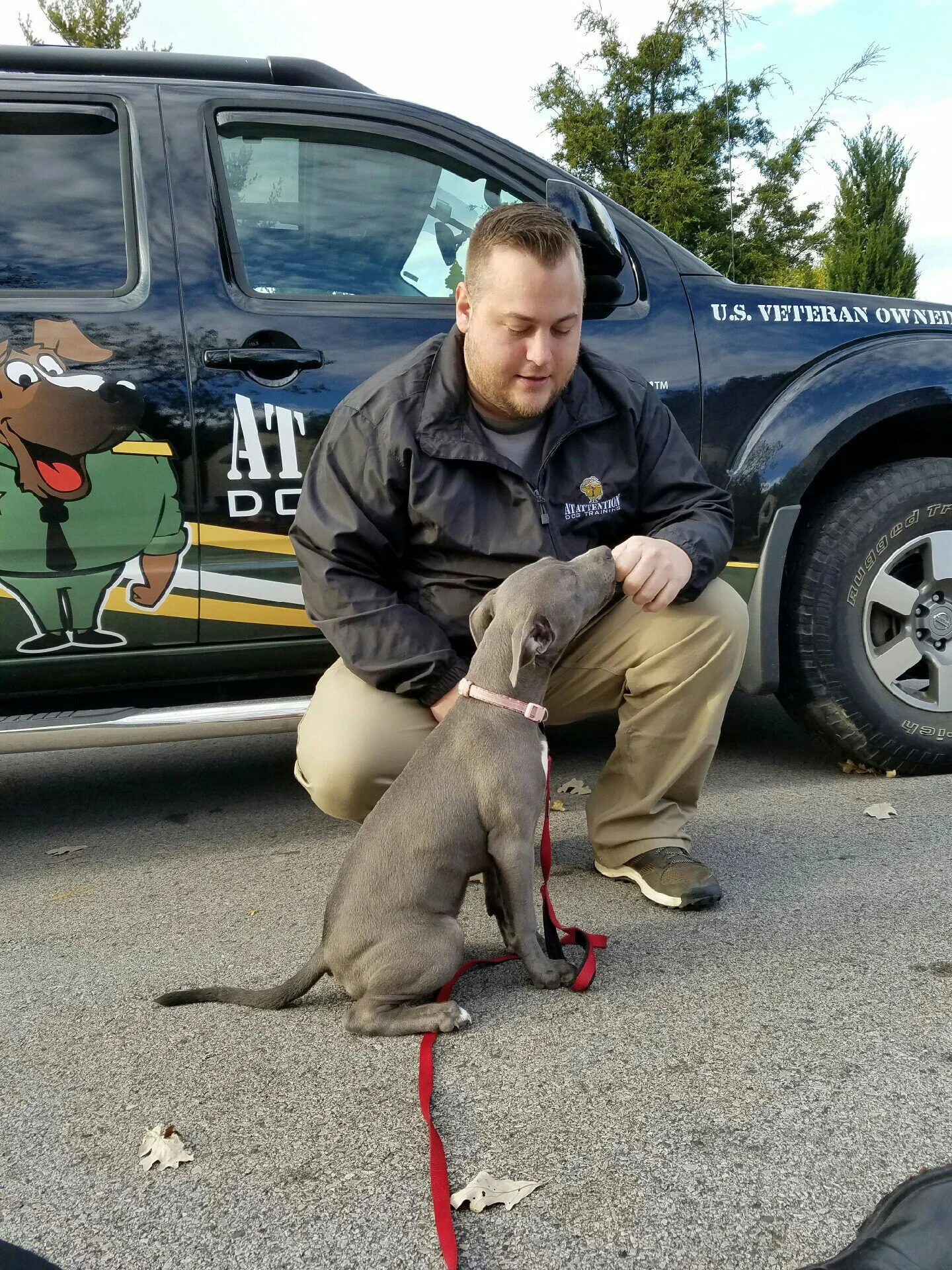 Blue Pit _ Puppy.jpeg