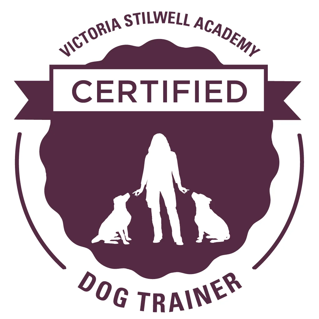 VSA-CDT Badge.jpg