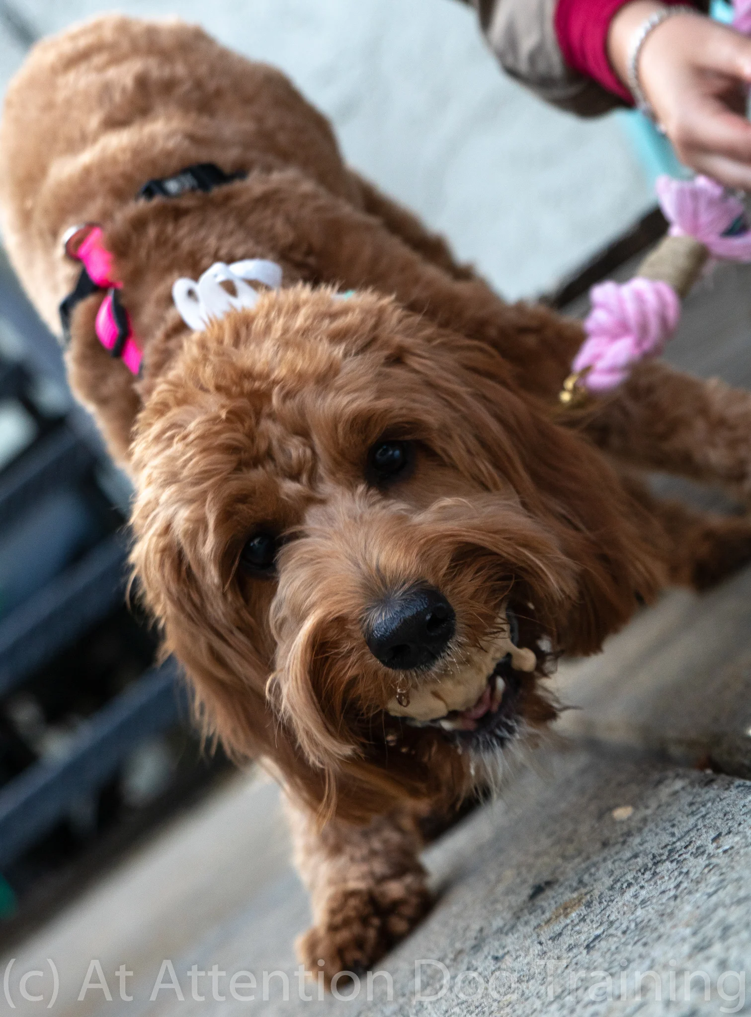 Winnie 2-1.jpg