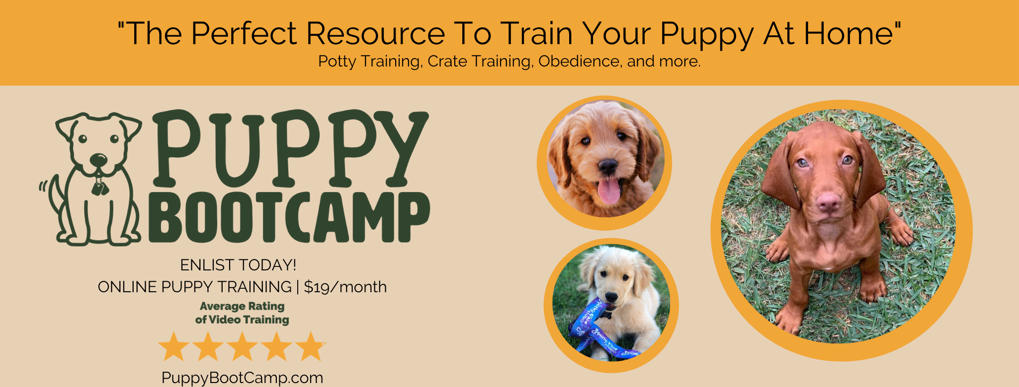 Dog Potty Training A Puppy To Go Outside Pee How To Train Puppy To