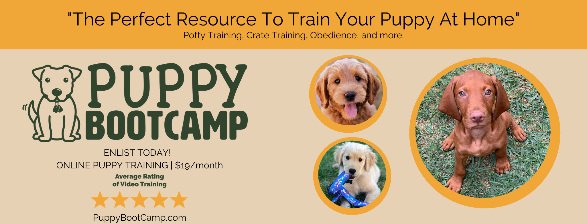 Puppy potty training for real dog lovers - I Live UpI Live Up