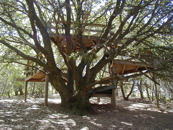 treehouse.jpg