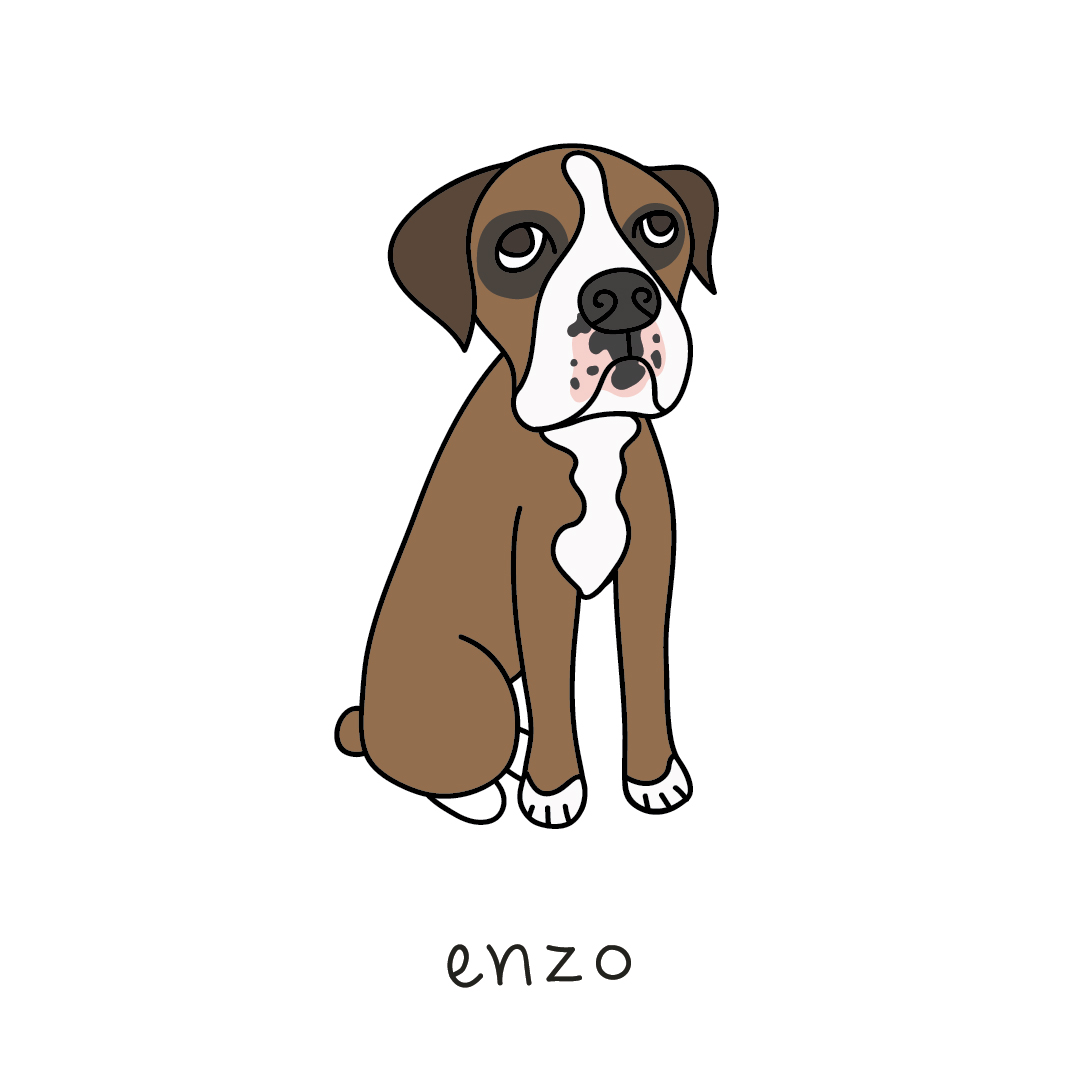 enzo.jpg