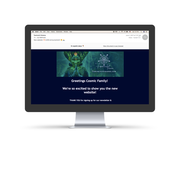 TaminchiVisions Email Marketing Newsletter