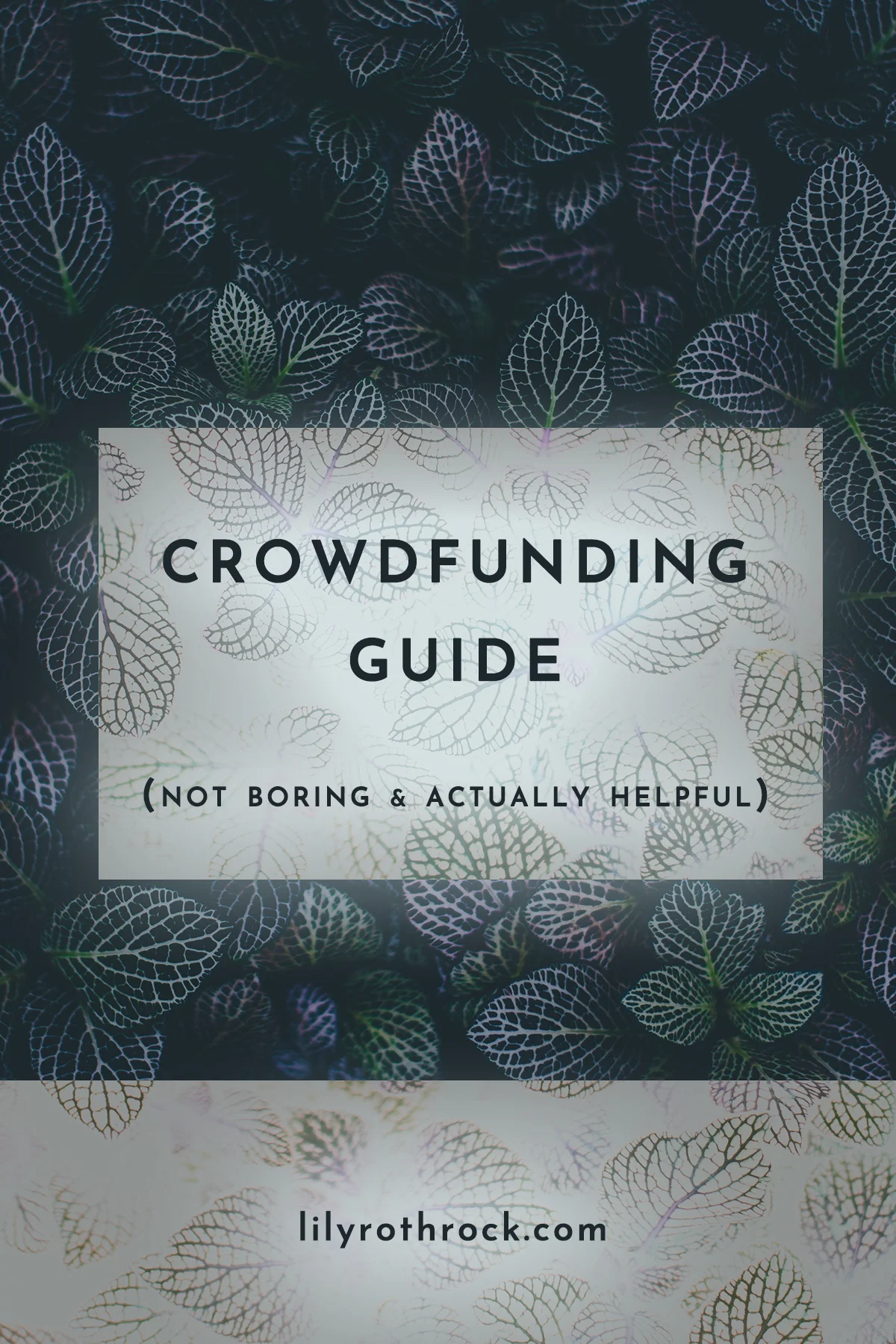 crowdfunding guide.jpg