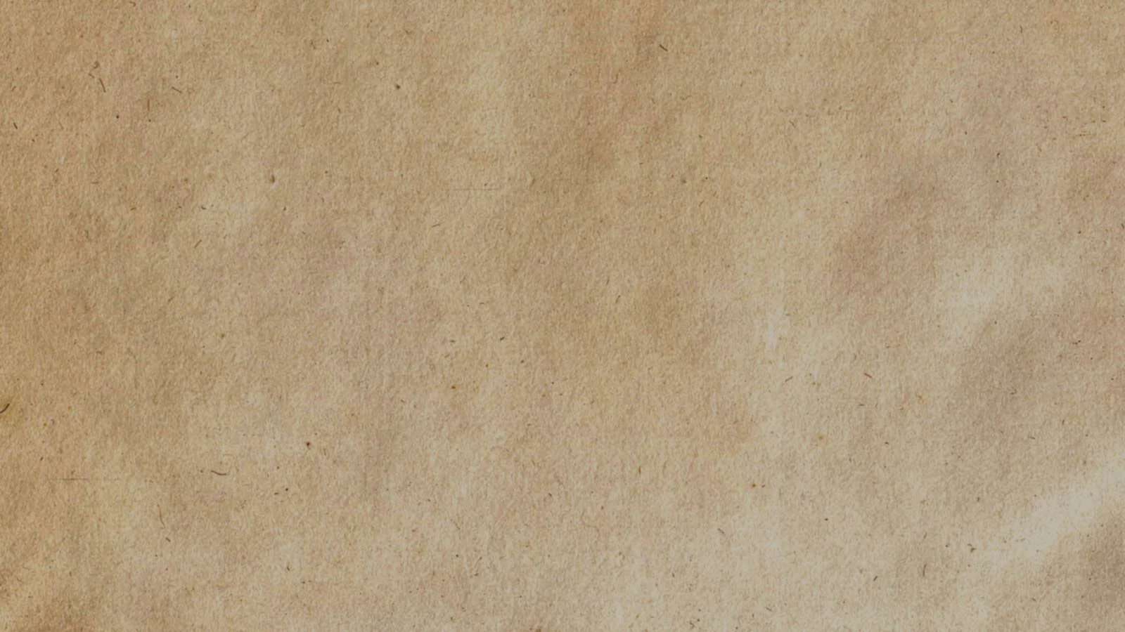 bg-01 copy.jpg