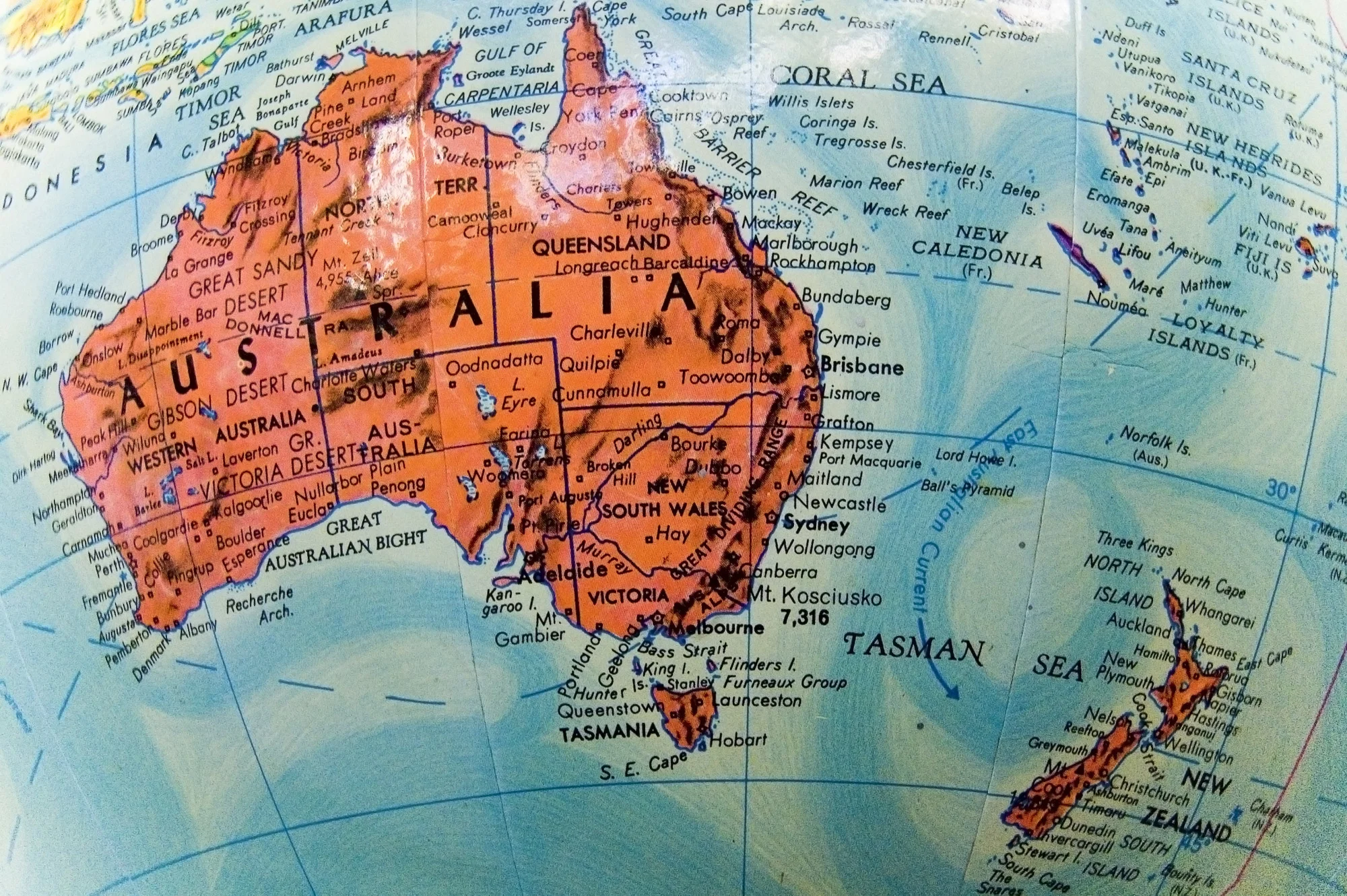 Australia professional internships programs for students graduates gap years.jpg