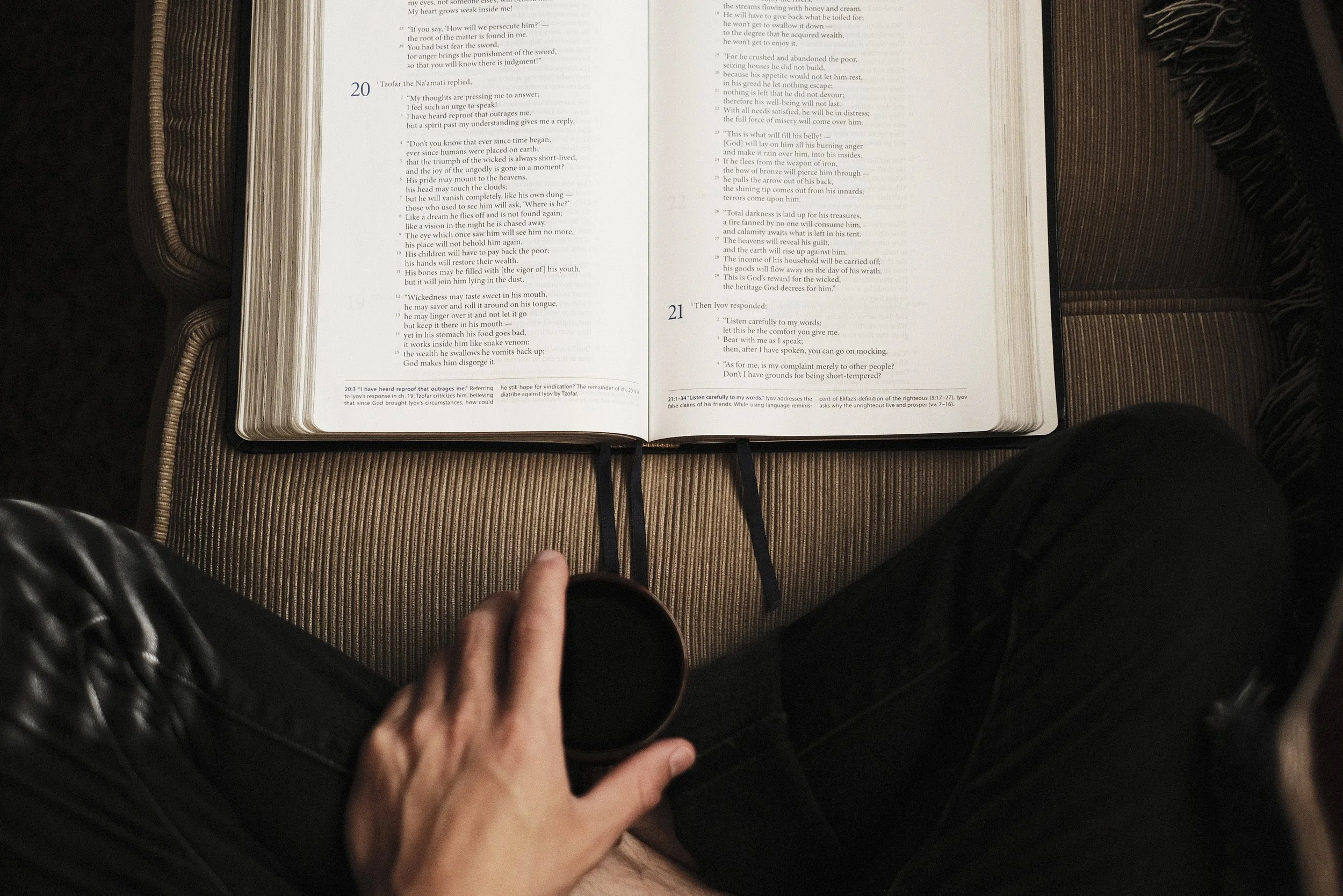 What an Echo Tells Us