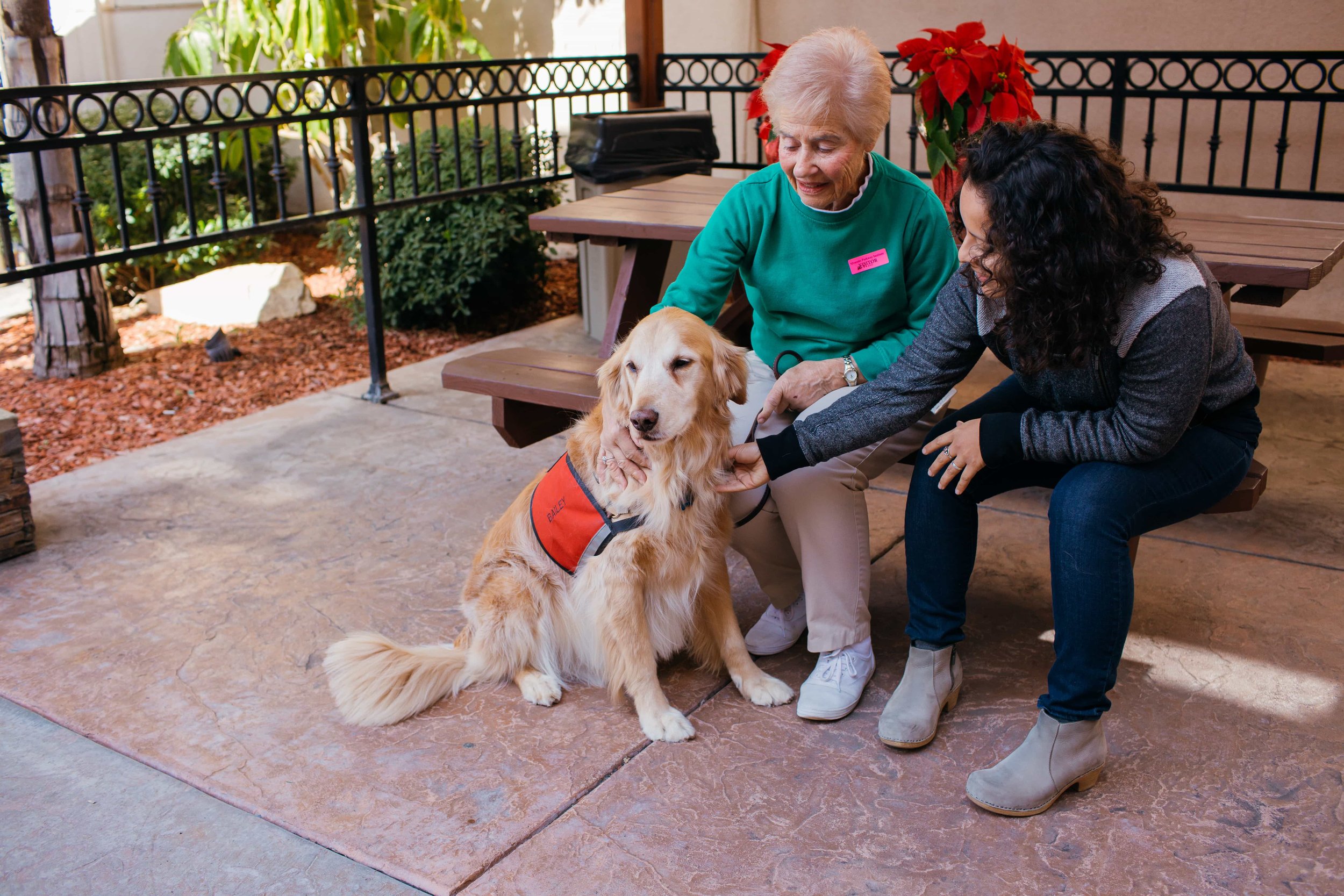  dog to help manage stress 