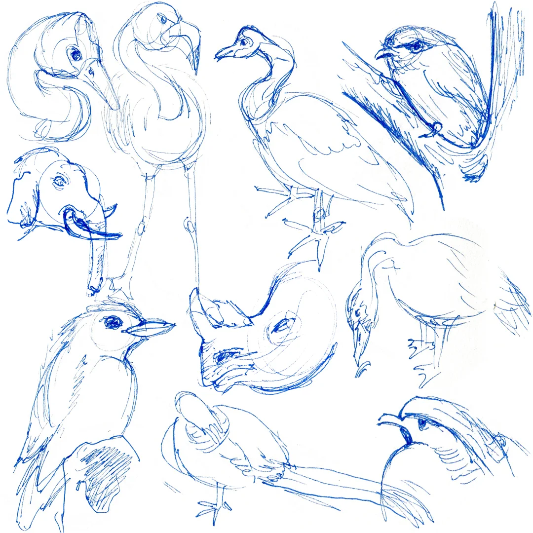 092515_ZooComp3.jpg