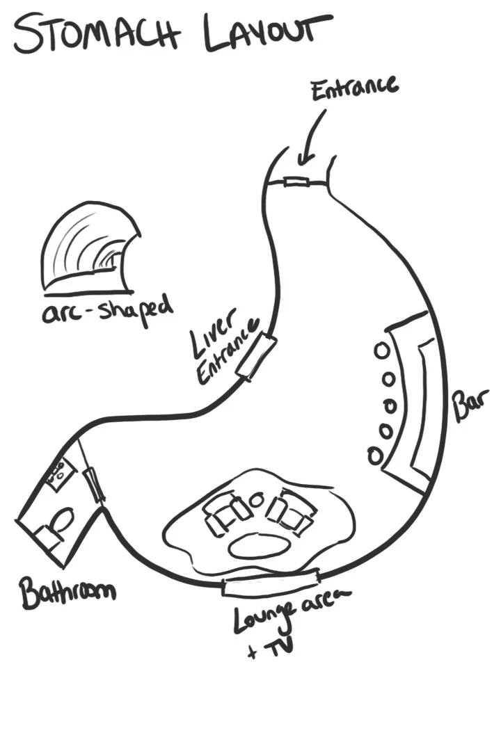 Concept: Stomach Layout
