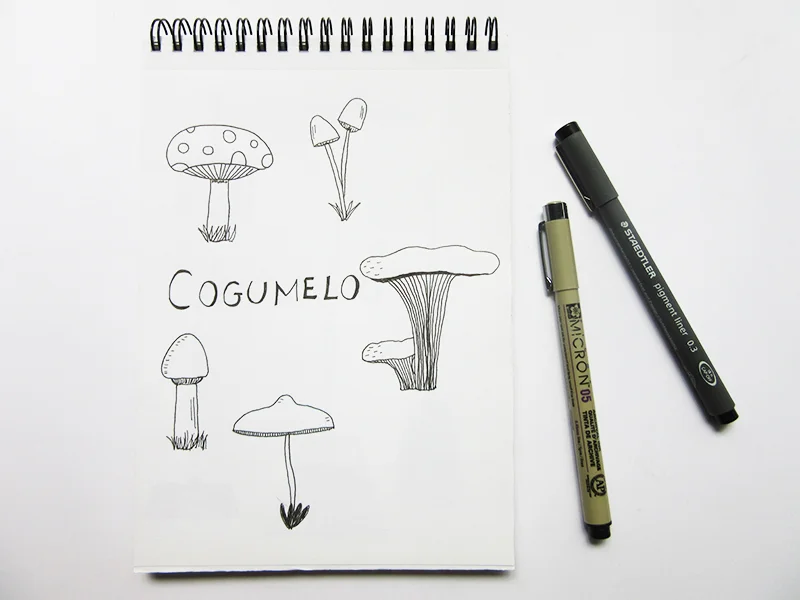 10-desenho-cogumelo