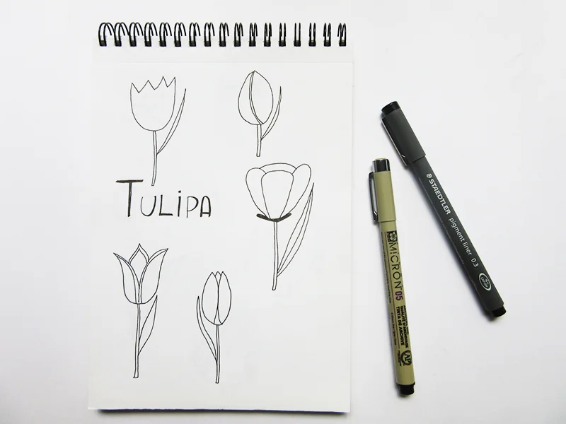 12-desenho-tulipa