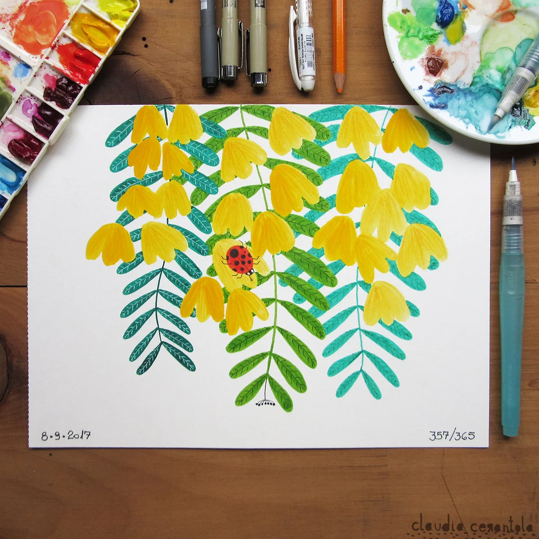 claudia-cerantola-araucaria-357.jpg
